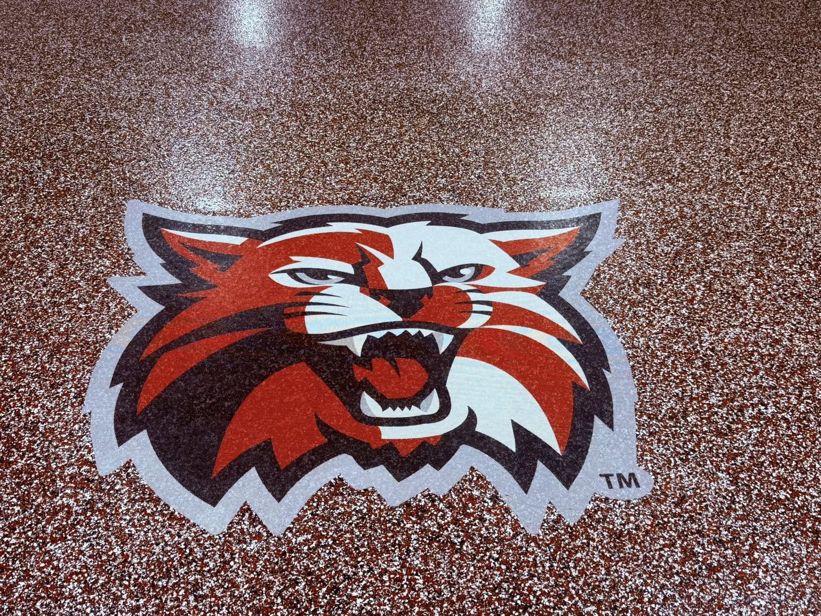 Red and tan flake epoxy floor with a painted Wildcat mascot logo.